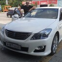 ���������� ����, ���� ������� �����, 42 ����, ������������ ��� ������, ����� � ���������, c�������� ���������