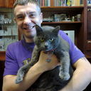 ���������� �������, ���� ������� ��������, 45 ���, ������������ ��� ����� � ���������, c�������� ���������