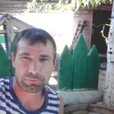  ,   Wolf, 41 ,   