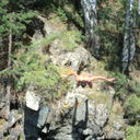 ���������� �������, ���� ������� AMIN, 40 ���, ������������ ��� ������