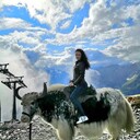 ���������� ���������, ���� ������� Alina, 53 ����, ������������ ��� c�������� ���������