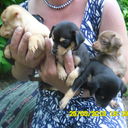  ,   , 58 ,   ,   , c 