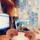  ,   , 25 ,   ,   , c 