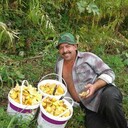 ���������� ����������, ���� ������� ��������, 51 ���, ������������ 