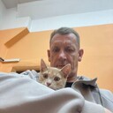  ,   , 46 ,   ,   , c 