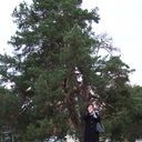 ���������� ɸ�������, ���� ������� Larysa, 63 ����, ������������ ��� ������, ����� � ���������, c�������� ���������