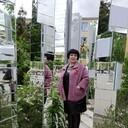  ,   , 60 ,   ,   