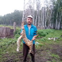 ���������� ���������, ���� ������� ����, 44 ����, ������������ ��� ����� � ���������, c�������� ���������