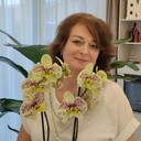 ���������� ������-��-����, ���� ������� �������, 50 ���, ������������ ��� ����� � ���������, c�������� ���������