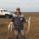 ���������� ������, ���� ������� ����, 53 ����, ������������ ��� ������, ����� � ���������, c�������� ���������