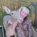  ,   , 38 ,   ,   , c 