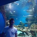 ���������� �����������, ���� ������� �������, 31 ���, ������������ ��� ������, ����� � ���������