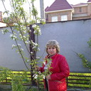  --,   , 58 ,   ,   , c 