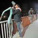 ���������� ������, ���� ������� ����, 36 ���, ������������ ��� ������, ����� � ���������, c�������� ���������