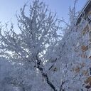 ���������� ����������, ���� ������� �����, 30 ���, ������������ ��� ������, ���������