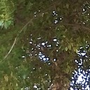 ���������� ���, ���� ������� ������, 35 ���, ������������ ��� ������, ����� � ���������, c�������� ���������