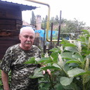   ,   , 72 ,   ,   , c 