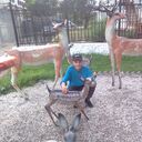 ���������� ���������, ���� ������� ����, 43 ����, ������������ ��� ������, ����� � ���������