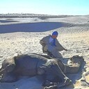  -,   , 49 ,   ,   , c 