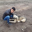 ���������� ������, ���� ������� �����, 37 ���, ������������ ��� ����� � ���������, c�������� ���������