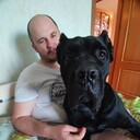 ���������� �����, ���� ������� ����, 36 ���, ������������ ��� ������, ����� � ���������