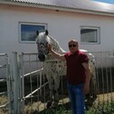 ���������� ������, ���� ������� �������, 45 ���, ������������ ��� ������, ����� � ���������, c�������� ���������