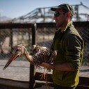 ���������� ������, ���� ������� �����, 38 ���, ������������ ��� ������, ����� � ���������, c�������� ���������, ���������