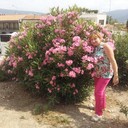 ���������� �����-���������, ���� ������� ���������, 49 ���, ������������ ��� ������, ����� � ���������, c�������� ���������