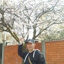  ,   , 45 ,   ,   