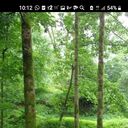 ���������� ������, ���� ������� �����, 78 ���, ������������ ��� ������, ����� � ���������