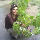 ���������� �������, ���� ������� ������ 71, 54 ����, ������������ ��� ������, ����� � ���������, c�������� ���������