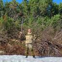 ���������� �������, ���� ������� �������, 38 ���, ������������ ��� ������, ����� � ���������