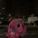 ���������� ���������, ���� ������� ����, 26 ���, ������������ ��� ���������