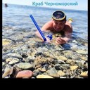 ���������� �������, ���� ������� �������, 50 ���, ������������ ��� c�������� ���������