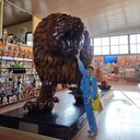 ���������� ������, ���� ������� ���������, 56 ���, ������������ ��� ������, ����� � ���������