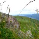 ���������� ��������������, ���� ������� V0961229457, 52 ����, ������������ ��� ������