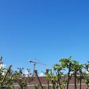 ���������� ������, ���� ������� �����, 31 ���, ������������ ��� ������, ����� � ���������