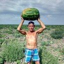  ,   , 62 ,   ,   