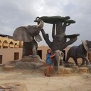 ���������� ������, ���� ������� �������, 40 ���, ������������ ��� c�������� ���������