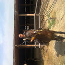 ���������� ������, ���� ������� ����, 40 ���, ������������ ��� ����� � ���������, c�������� ���������