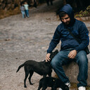  ,   Vahag, 26 ,   ,   