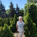 ���������� ��������, ���� ������� ������, 65 ���, ������������ ��� ������, ����� � ���������