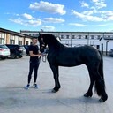 ���������� ������, ���� ����� ����, 24 ����, ������������ ��� ����� � ���������, c�������� ���������