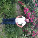  ,   , 62 ,   ,   