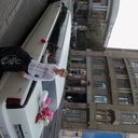 ���������� ��������, ���� ������� ��������, 37 ���, ������������ ��� ������