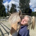 ���������� ������, ���� ������� ���������, 22 ����, ������������ ��� ������, ����� � ���������