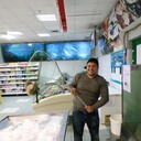 ���������� ������, ���� ������� �����, 36 ���, ������������ ��� ������, ����� � ���������, c�������� ���������