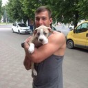 ���������� ����, ���� ������� �����, 39 ���, ������������ ��� ������, ����� � ���������, c�������� ���������