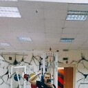 ���������� ��������, ���� ����� ������, 22 ����, ������������ ��� ������, ����� � ���������