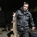 ���������� ������, ���� ������� ����, 38 ���, ������������ ��� ������, ����� � ���������